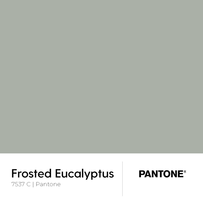 6mm Toughened Painted Kitchen Glass Splashback - Eucalyptus Green 7537 C Pantone
