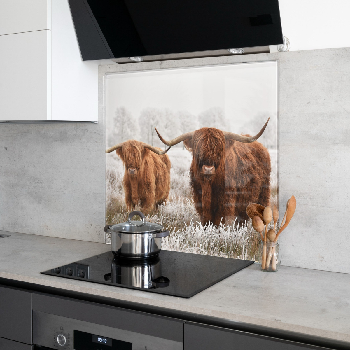Printed Kitchen Glass Splashback Two Highland Cows — Express Glass